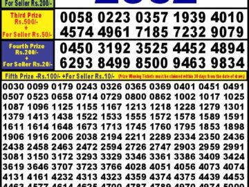 Lottery Result Today February 13, 2024