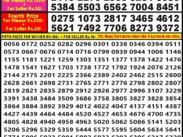 Lottery Result Today February 13, 2024