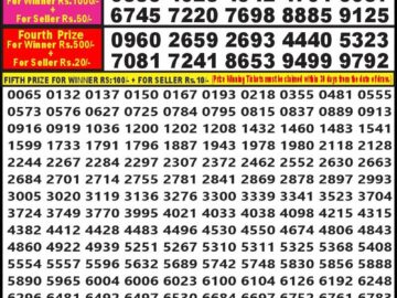 Lottery Result Today February 17, 2024