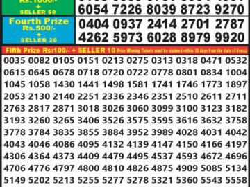 Lottery Result Today February 20, 2024