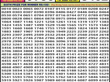 Lottery Result Today February 20, 2024