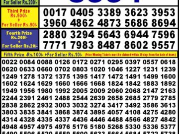 Lottery Result Today February 20, 2024