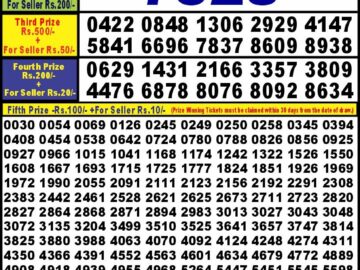 Lottery Result Today February 23, 2024