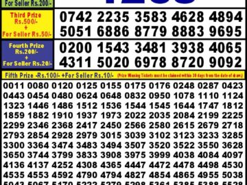 Lottery Result Today February 24, 2024