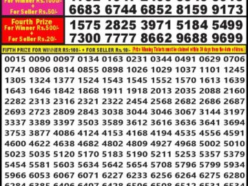 Lottery Result Today February 24, 2024