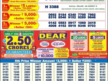 Lottery Result Today February 24, 2024