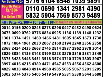 Lottery Result Today February 25, 2024