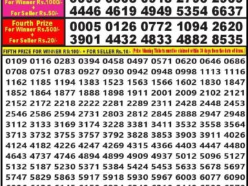 Lottery Result Today February 25, 2024