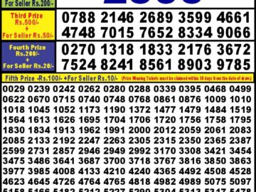 Lottery Result Today February 26, 2024