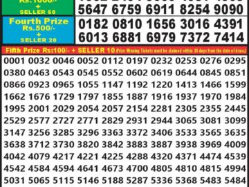 Lottery Result Today February 28, 2024