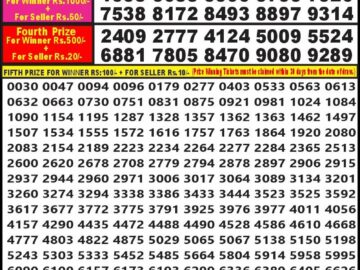 Lottery Result Today February 28, 2024