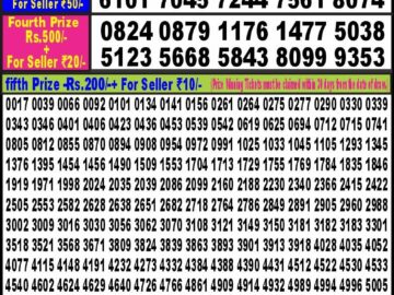 Lottery Result Today February 29, 2024