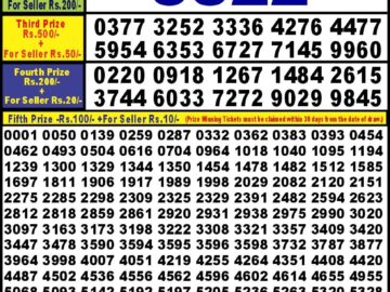 Lottery Result Today February 29, 2024