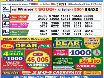 Lottery Result Today February 11, 2024