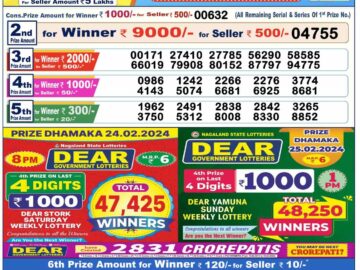 Lottery Result Today February 25, 2024