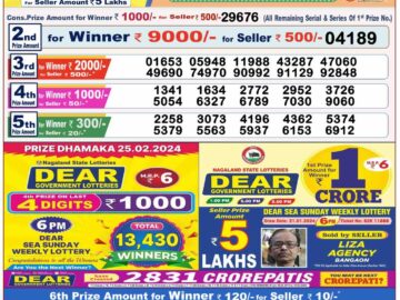 Lottery Result Today February 25, 2024