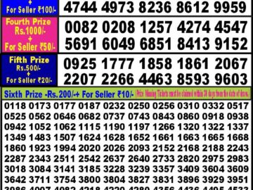 Lottery Result Today February 1, 2024