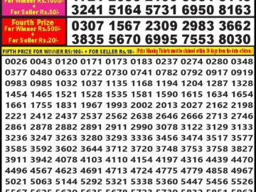 Lottery Result Today February 18, 2024