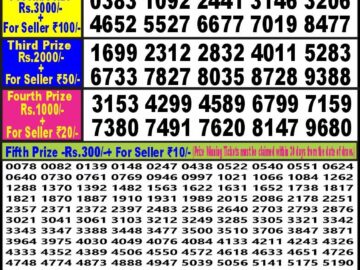 Lottery Result Today February 19, 2024