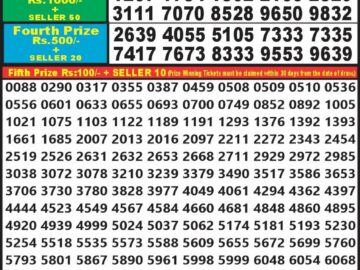 Lottery Result Today February 27, 2024