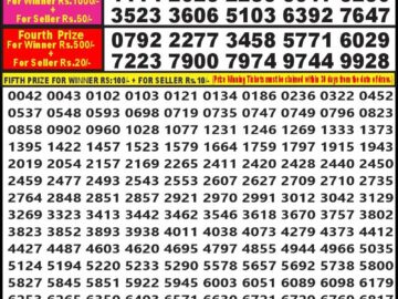 Lottery Result Today February 29, 2024