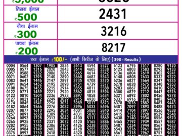 Lottery Result Today February 29, 2024