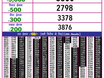 Lottery Result Today February 20, 2024