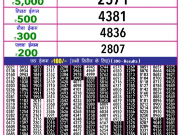 Lottery Result Today February 11, 2024