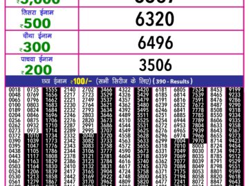 Lottery Result Today February 25, 2024