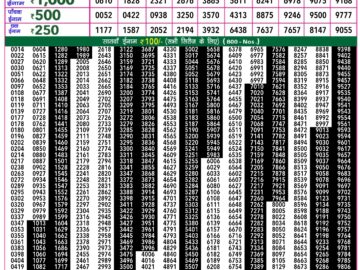 Lottery Result Today February 21, 2024