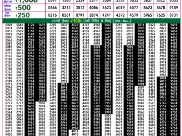 Lottery Result Today February 28, 2024