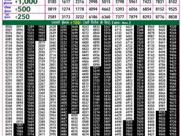 Lottery Result Today February 8, 2024