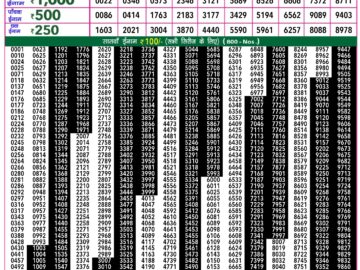 Lottery Result Today February 15, 2024