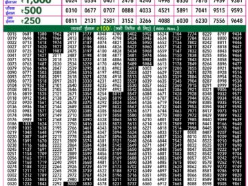 Lottery Result Today February 22, 2024