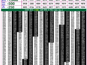 Lottery Result Today February 29, 2024