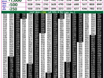 Lottery Result Today February 13, 2024