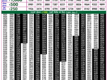 Lottery Result Today February 20, 2024