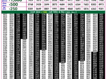 Lottery Result Today February 27, 2024