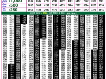 Lottery Result Today February 11, 2024