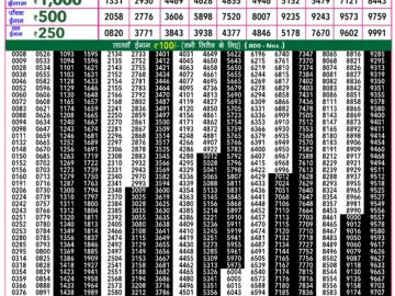 Lottery Result Today February 18, 2024