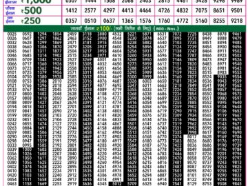 Lottery Result Today February 25, 2024