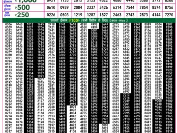 Lottery Result Today February 17, 2024