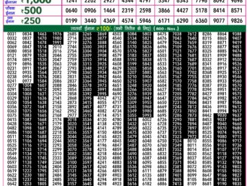 Lottery Result Today February 24, 2024