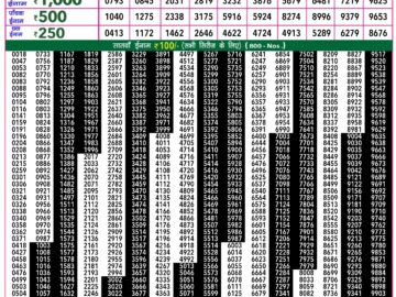 Lottery Result Today February 16, 2024