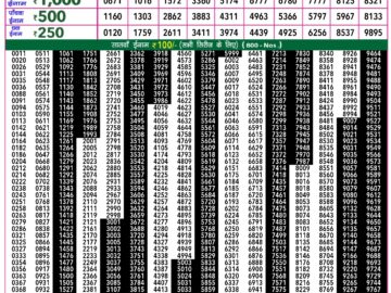 Lottery Result Today February 23, 2024