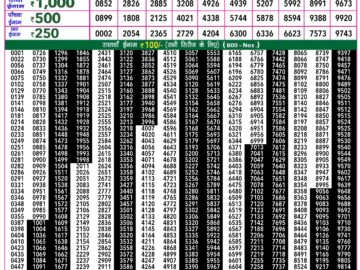 Lottery Result Today February 12, 2024