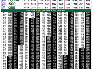 Lottery Result Today February 26, 2024