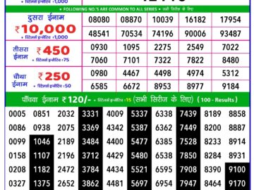 Lottery Result Today February 20, 2024