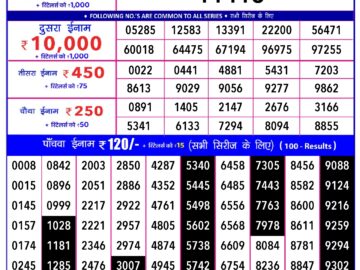 Lottery Result Today February 11, 2024