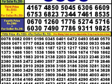 Lottery Result Today March 17, 2024